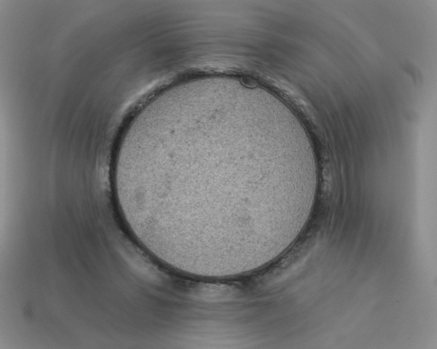 X0000113360399200910131304