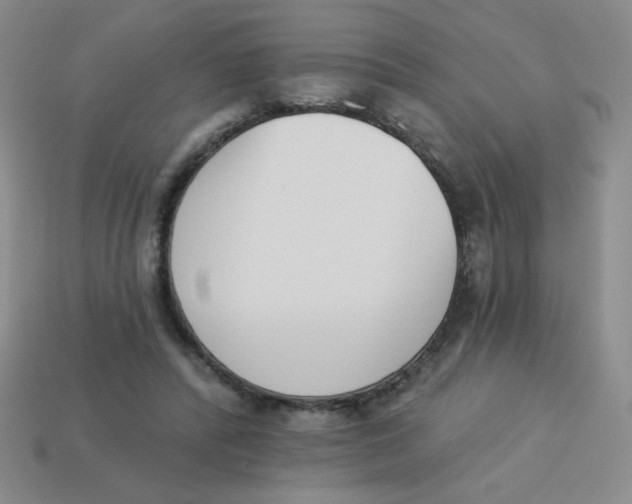 X0000113360400200910131304
