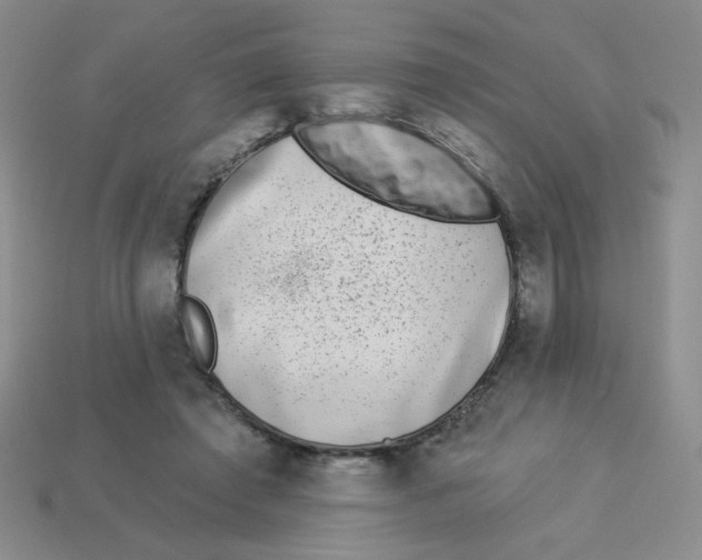 X0000113360401200910131304