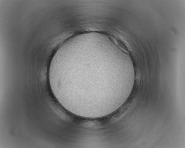 X0000113360402200910131304