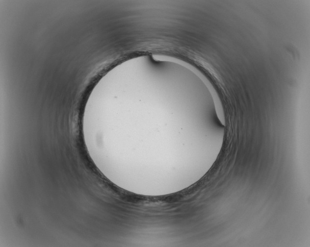 X0000113360403200910131304