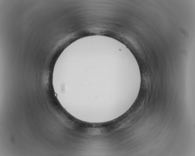 X0000113360404200910131304