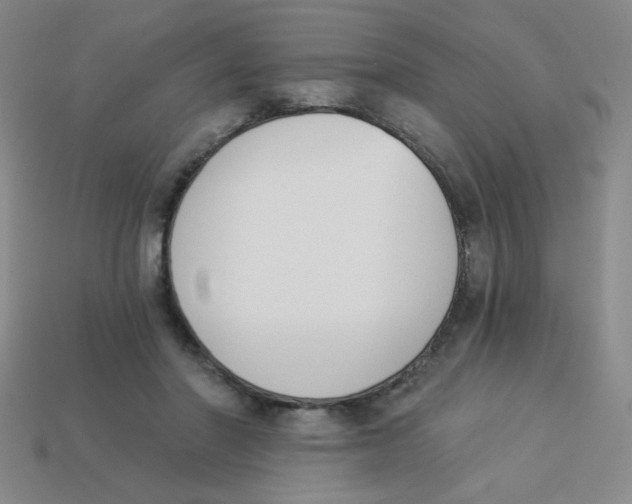 X0000113360406200910131304