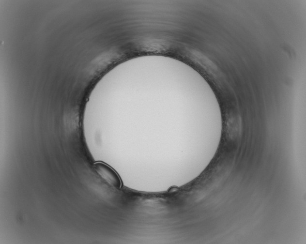 X0000113360407200910131304