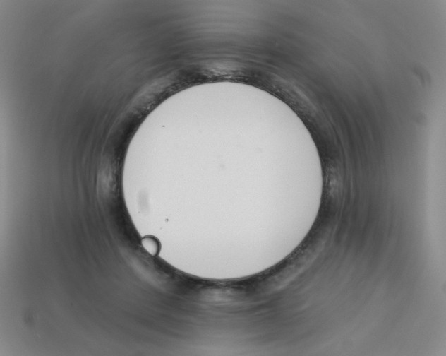 X0000113360408200910131304
