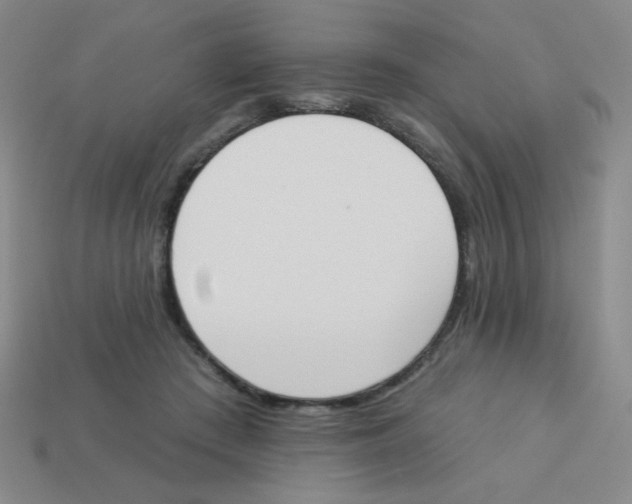 X0000113360409200910131304