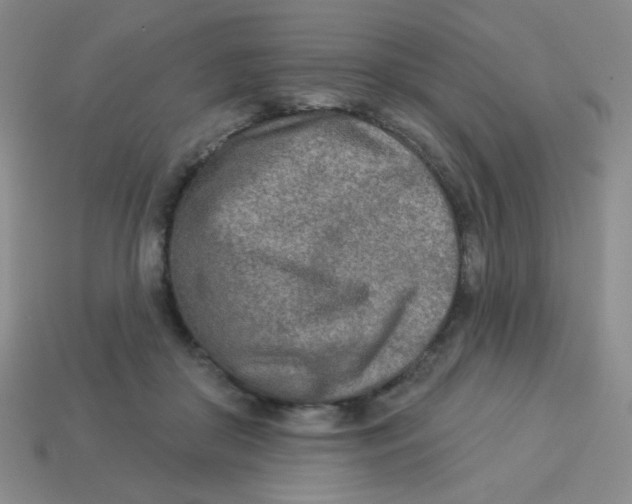 X0000113360410200910131304