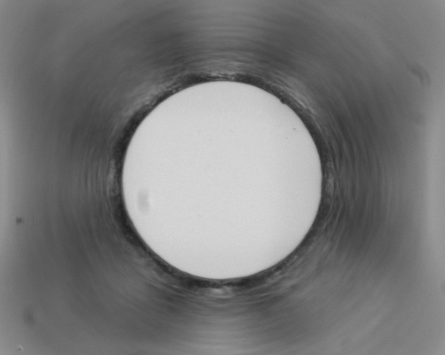 X0000113360411200910131304