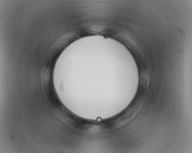 X0000113360412200910131304
