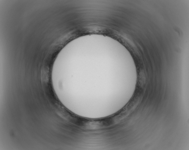 X0000113360413200910131304