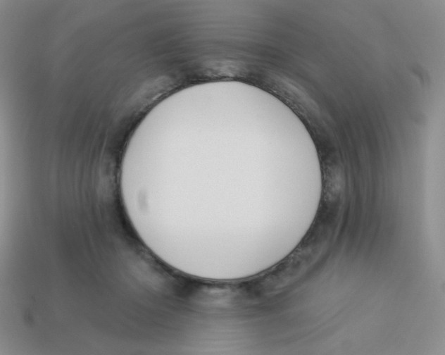 X0000113360414200910131304