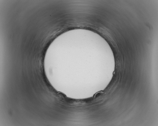 X0000113360415200910131304