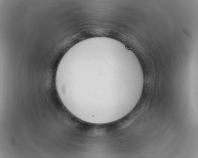 X0000113360416200910131304