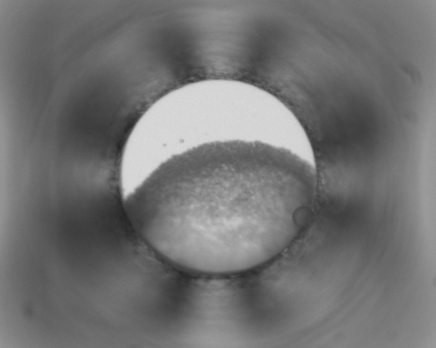 X0000113360419200910131304