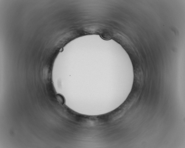 X0000113360420200910131304