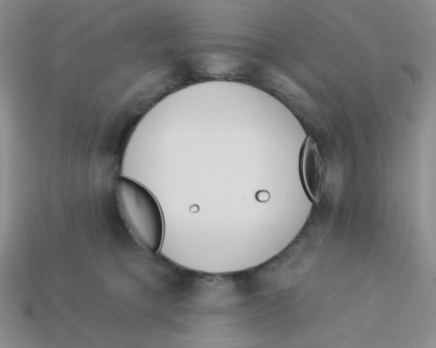 X0000113360421200910131304