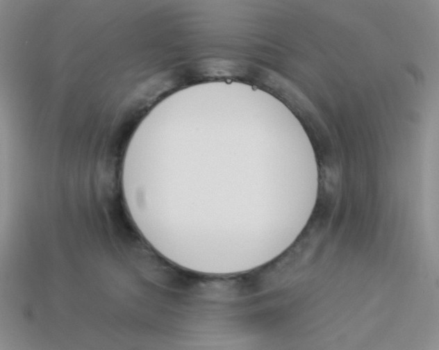 X0000113360422200910131304