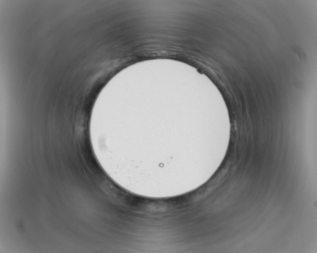 X0000113360423200910131304