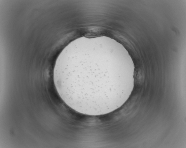 X0000113360424200910131304