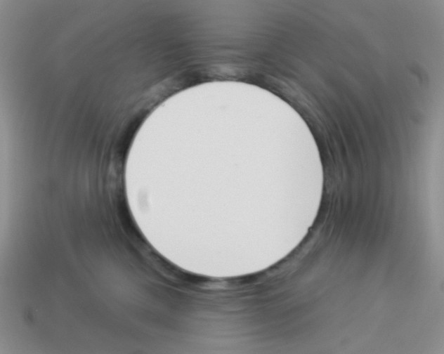 X0000113360425200910131304