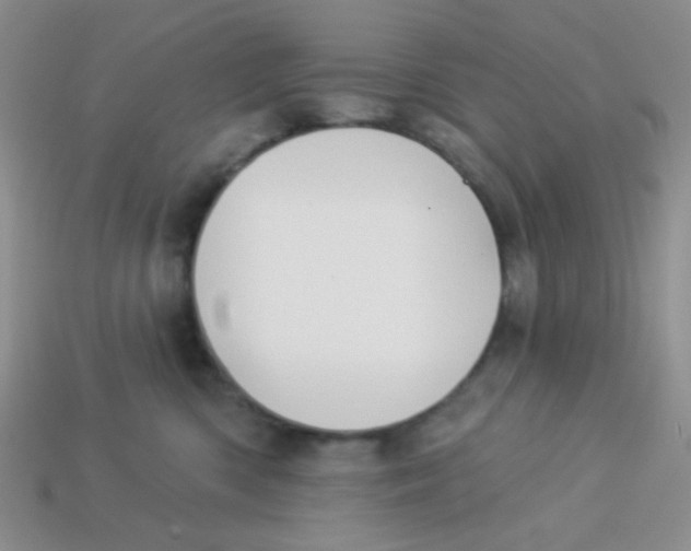X0000113360426200910131304