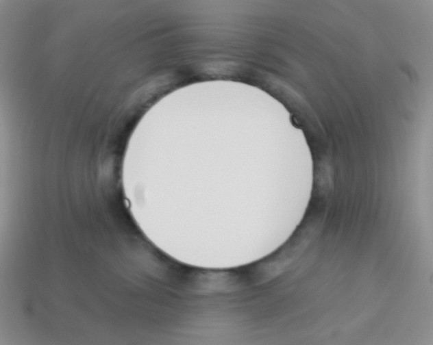 X0000113360428200910131304
