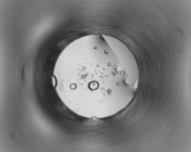 X0000113360429200910131304