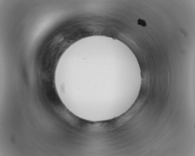 X0000113360430200910131304