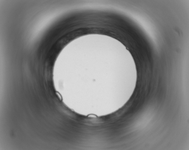 X0000113360431200910131304