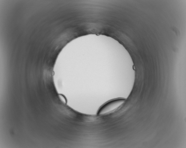 X0000113360432200910131304