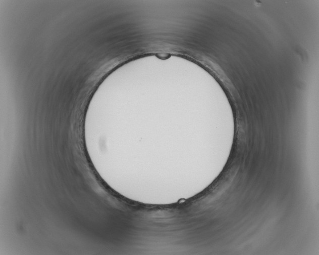 X0000113360433200910131303