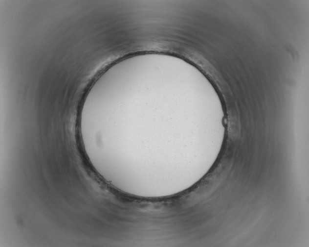 X0000113360434200910131303