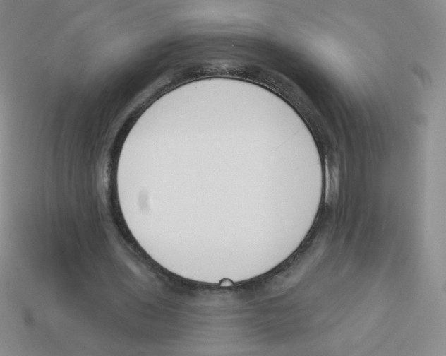 X0000113360435200910131303