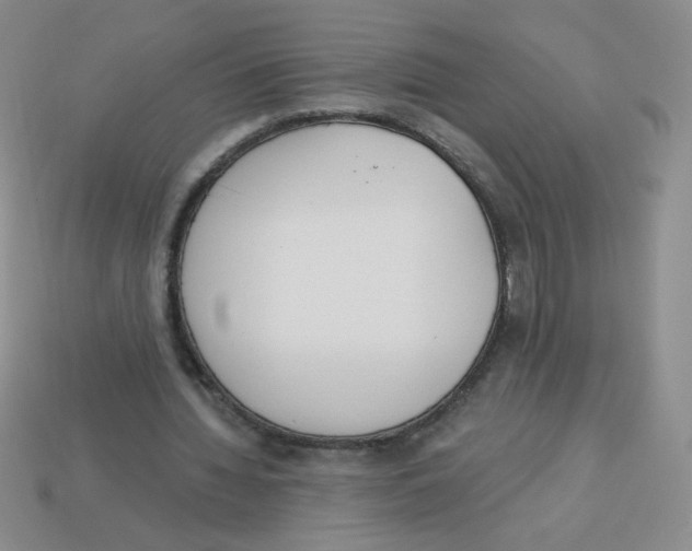 X0000113360436200910131303