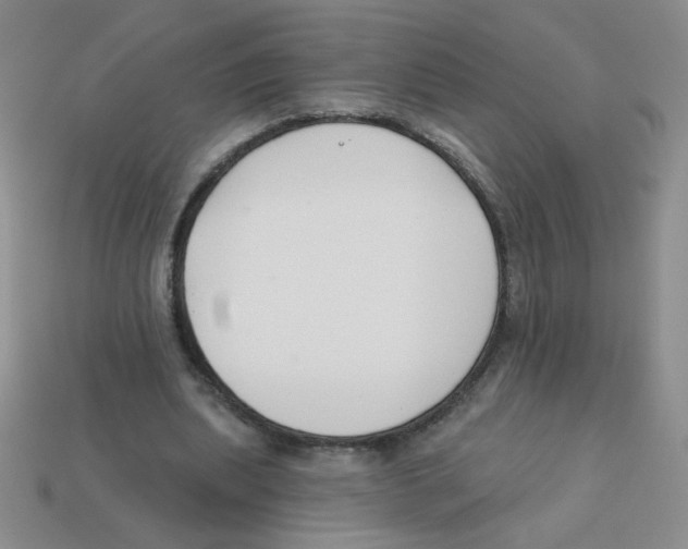 X0000113360439200910131303