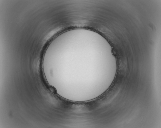 X0000113360440200910131303