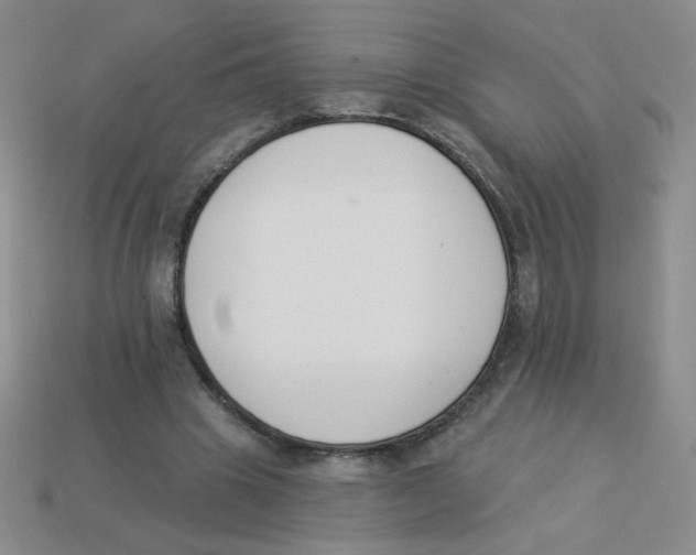 X0000113360441200910131303