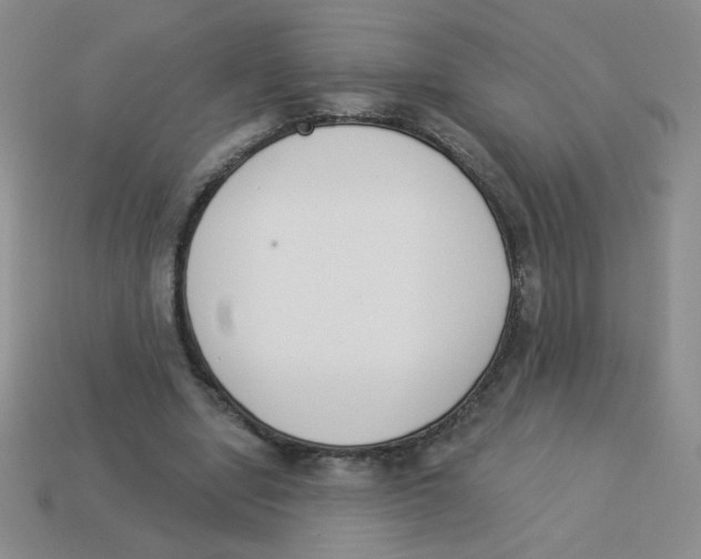 X0000113360442200910131303