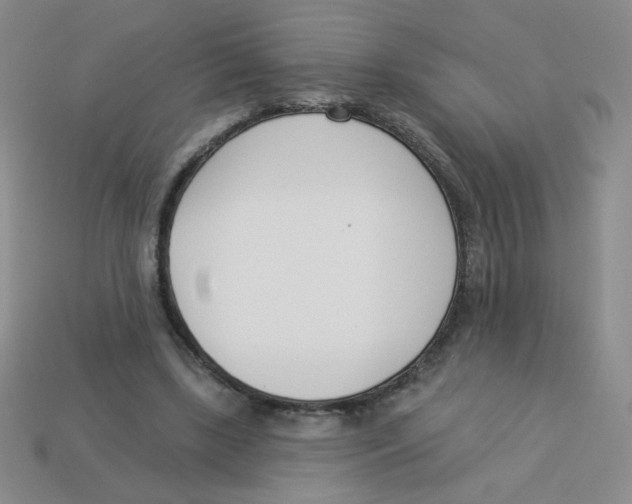 X0000113360443200910131303