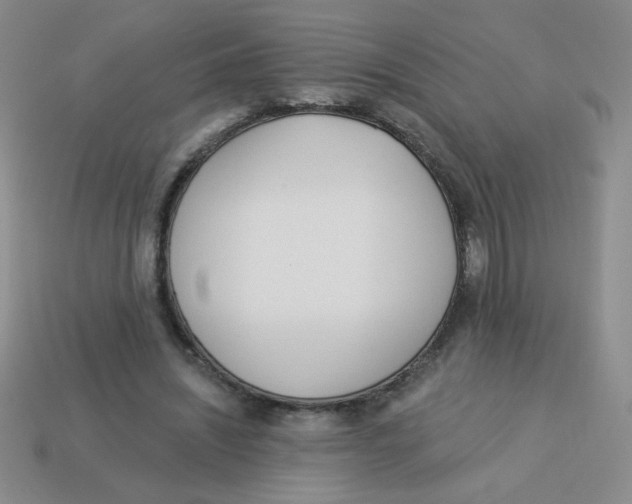 X0000113360444200910131303