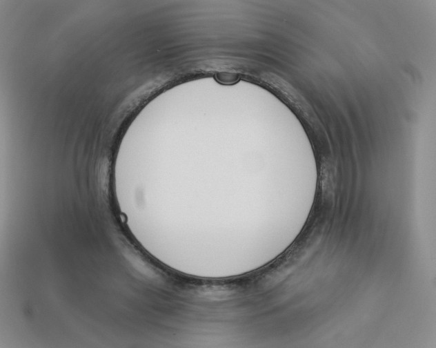 X0000113360445200910131303