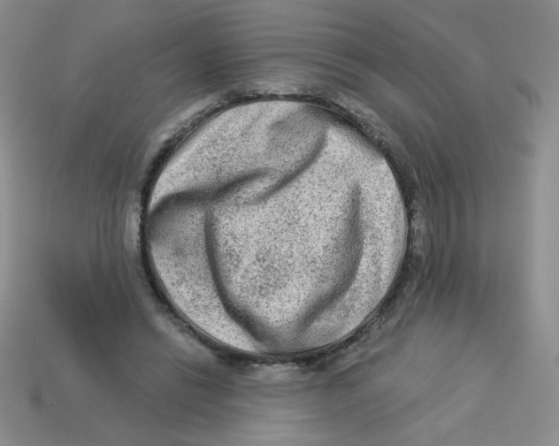 X0000113360446200910131303
