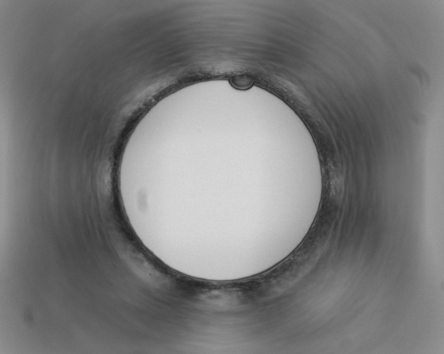 X0000113360447200910131303