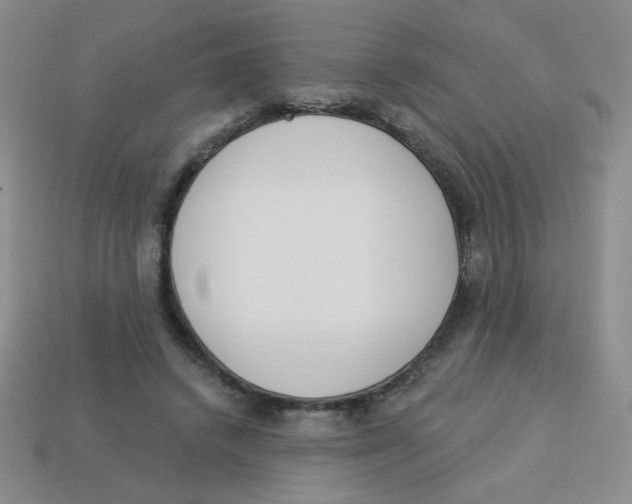 X0000113360448200910131303