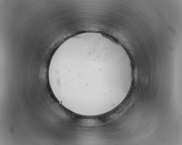 X0000113360449200910131304