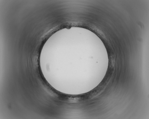 X0000113360450200910131304