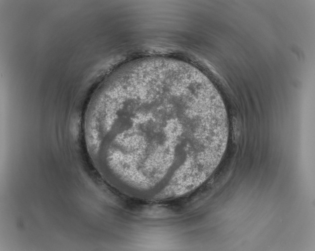 X0000113360451200910131304