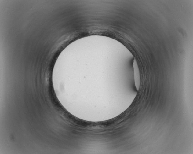 X0000113360452200910131304