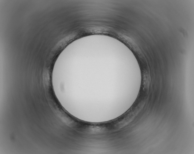 X0000113360453200910131304