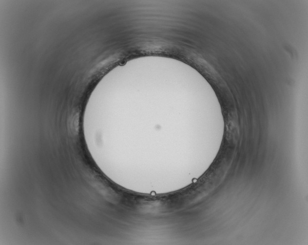 X0000113360454200910131304